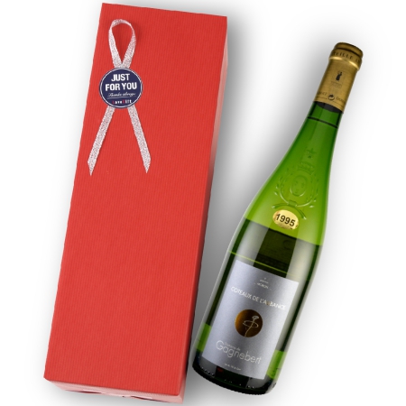 1995年 ドメーヌ・ド・ガニュベール / コトー・ド・ローバンス