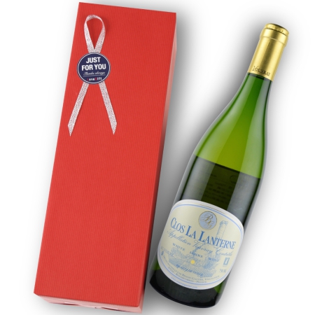 1996年 ドメーヌ・ド・ラ・シャテニュレ / ヴーヴレ・モワルー・クロ・ラ・ランテルヌ