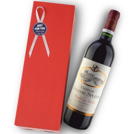 1995年 シャトー・シャス・スプリーン