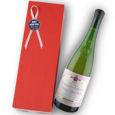 1989年 ドメーヌ・ダンビノ / コトー・デュ・レイヨン・ボーリュー・ノーブル・セレクション