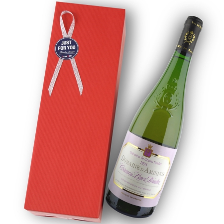 1993年 ドメーヌ・ダンビノ / コトー・デュ・レイヨン・ボーリュー・ノーブル・セレクション