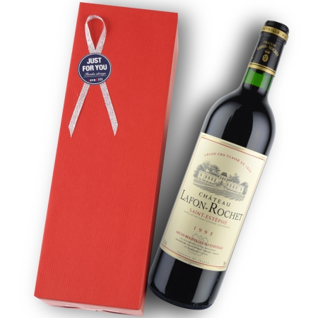 1995年 シャトー・ラフォン・ロシェ