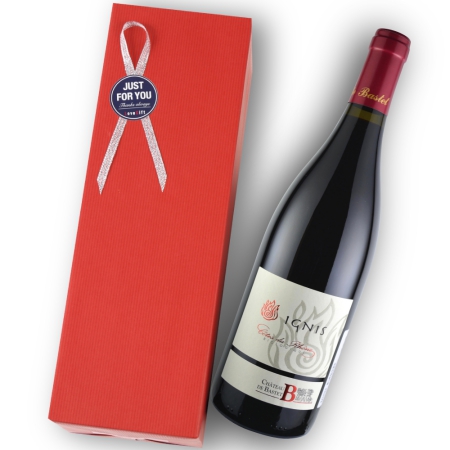 2023年 シャトー・ド・バステ / コート・デュ・ローヌ・ルージュ・イグニス