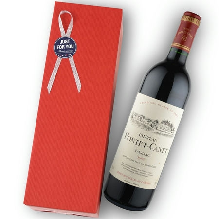 1995年 シャトー・ポンテ・カネ