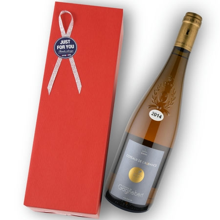 2014年 ドメーヌ・ド・ガニュベール / コトー・ド・ローバンス