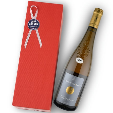 2015年 ドメーヌ・ド・ガニュベール / コトー・ド・ローバンス