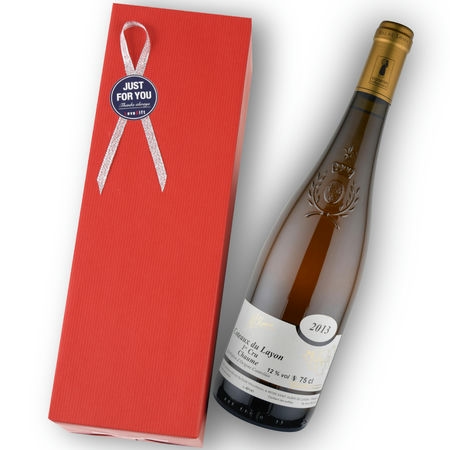 2013年 ミッシェル・ブルーン / コトー・デュ・レイヨン・プルミエ・クリュ・ショーム