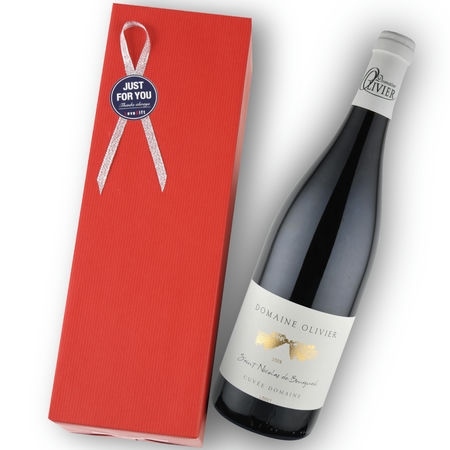 2009年 ドメーヌ・オリヴィエ / サン・ニコラ・ド・ブルグイユ