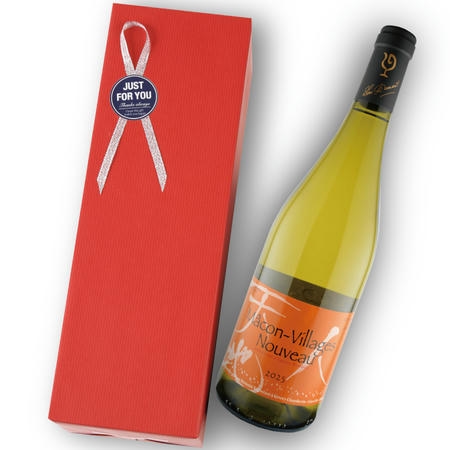 2025年 ルー・デュモン / マコン・ヴィラージュ・ヌーヴォー